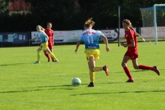 IMG_1993-2