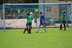 IMG_2234-1