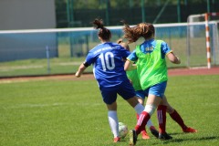 IMG_2558-1