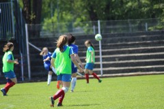 IMG_2740-1