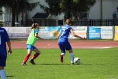IMG_3921-2