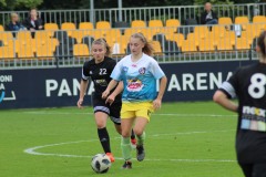 IMG_0008-1