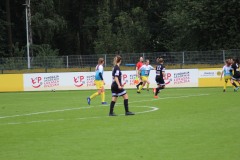 IMG_0105-2