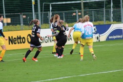 IMG_0236-2