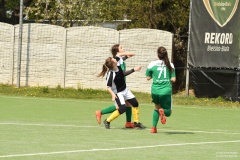 GCS_DSC_5480