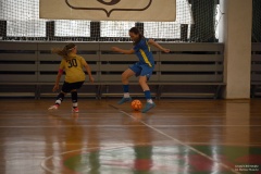 GCS_DSC_14370