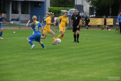GCS_DSC_08771