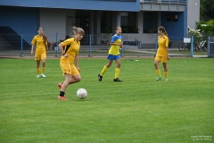 GCS_DSC_09902