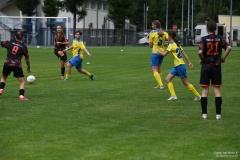 GCS_DSC_10234
