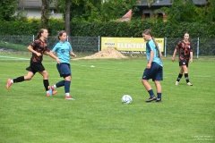 GCS_DSC_10385
