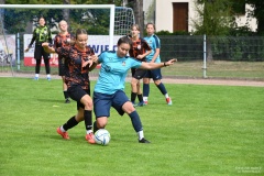 GCS_DSC_10390