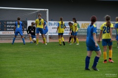 GCS_DSC_10443
