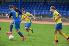 GCS_DSC_10475