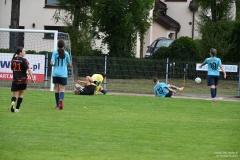 GCS_DSC_10549