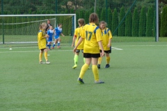 DSC02387