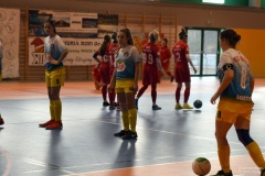 GCS_DSC_10848