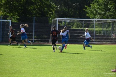 GCS_DSC_3941