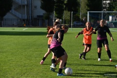 GCS_DSC_4638