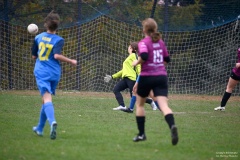 GCS_DSC_09360