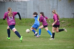 GCS_DSC_09370