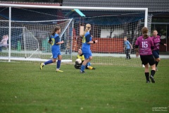 GCS_DSC_09415