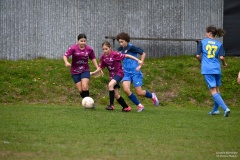 GCS_DSC_09492