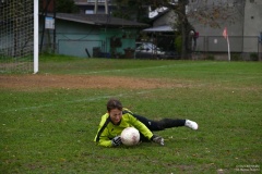 GCS_DSC_09524
