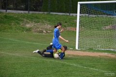 GCS_DSC_10043