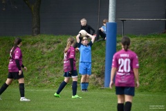 GCS_DSC_10061