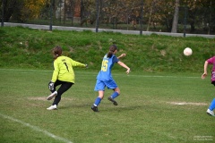 GCS_DSC_10254