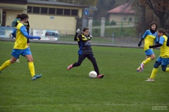 GCS_DSC_4961
