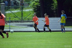 GCS_DSC_2366