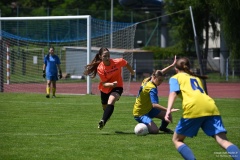 GCS_DSC_2401