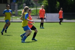 GCS_DSC_2485