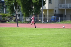 GCS_DSC_2743