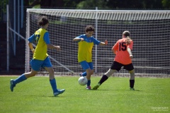 GCS_DSC_2831