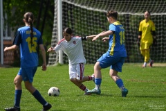 GCS_DSC_7799