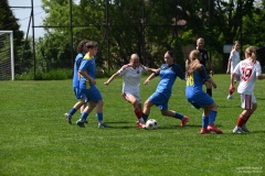 GCS_DSC_7810