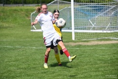 GCS_DSC_8035