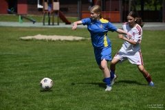 GCS_DSC_8102