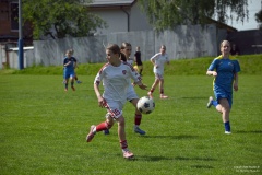 GCS_DSC_8224
