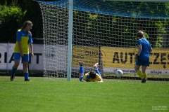 GCS_DSC_3942