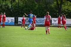 GCS_DSC_4317