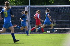 GCS_DSC_4342