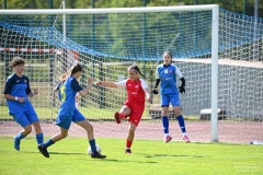 GCS_DSC_4790