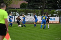 GCS_DSC_09738