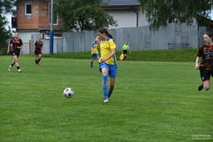 GCS_DSC_1811