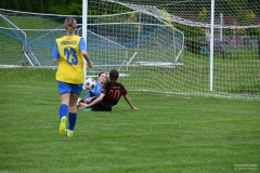 GCS_DSC_1831