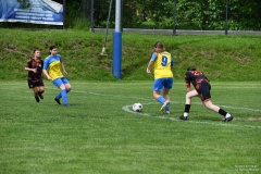 GCS_DSC_1849