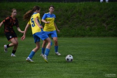GCS_DSC_1991